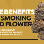 CBD Flower Benefits